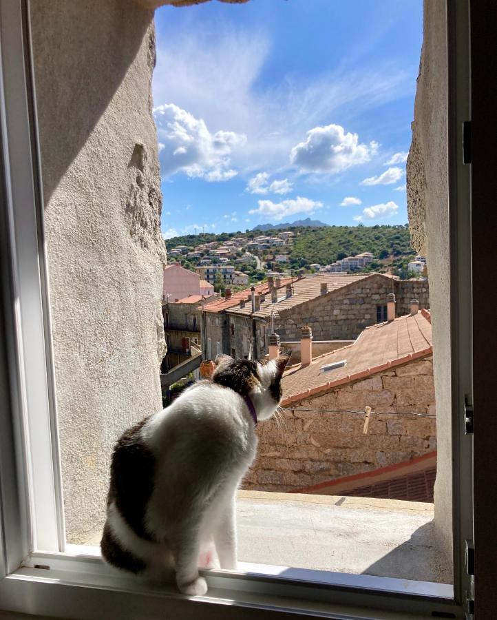 T3 Avec Vue Sur La Mer Notre Chez-Nous Διαμέρισμα Propriano  Εξωτερικό φωτογραφία